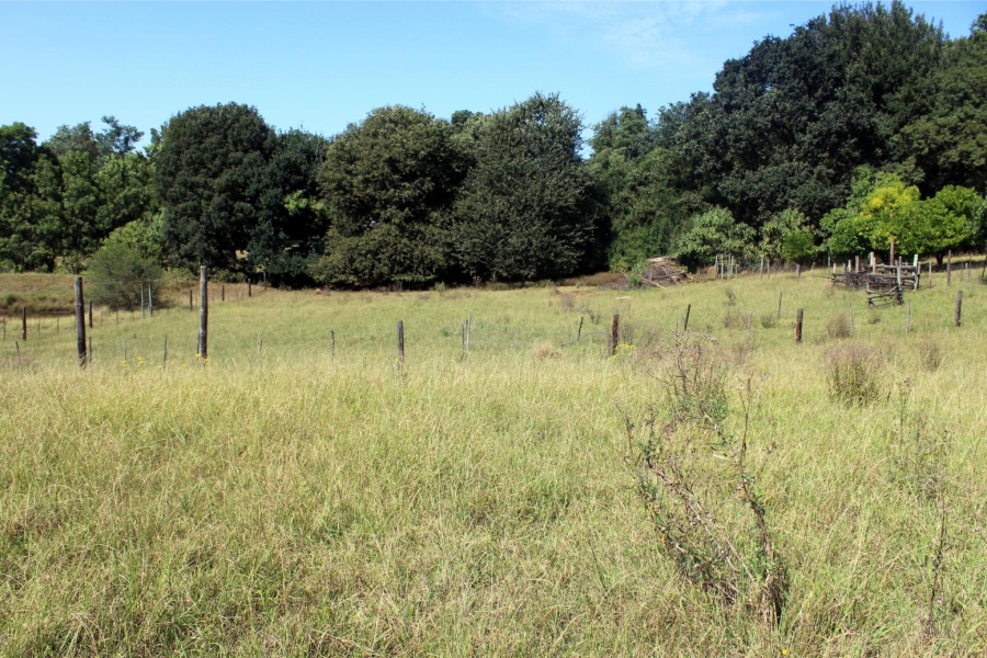 Commercial Property for Sale in Stutterheim Eastern Cape